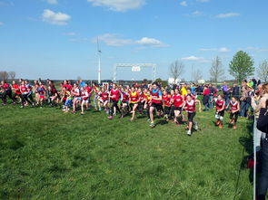 开云体育官网app-青少年体育运动社会支持系统研究，青少年体育运动社会支持系统研究现状